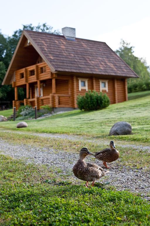 Partsilombi Holiday Home Otepää エクステリア 写真