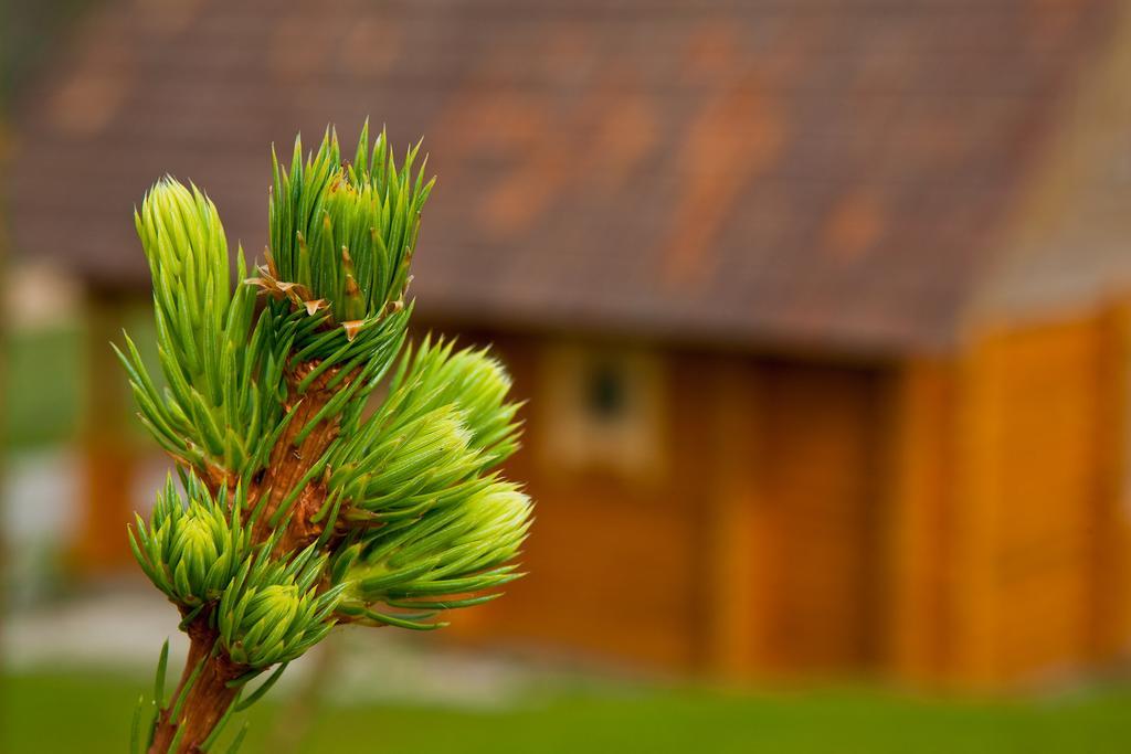 Partsilombi Holiday Home Otepää エクステリア 写真